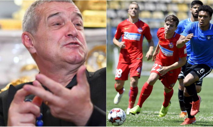 gigi becali de nooijer