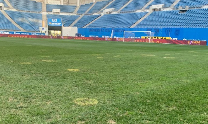 gazon stadion craiova