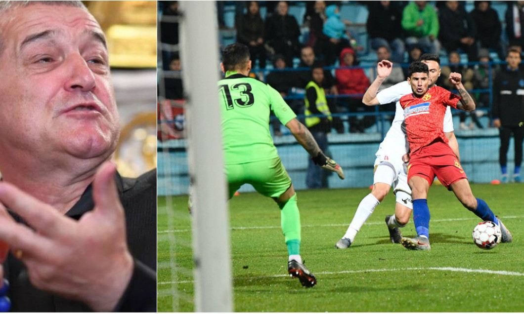 gigi becali florinel coman