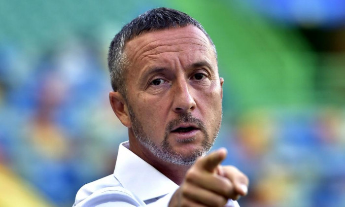 mihai stoica
