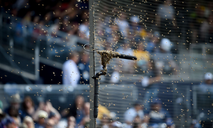 Miami Marlins v San Diego Padres