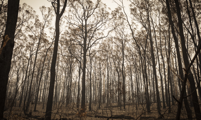 Smoke Covers East Gippsland Following Devastating Bushfires