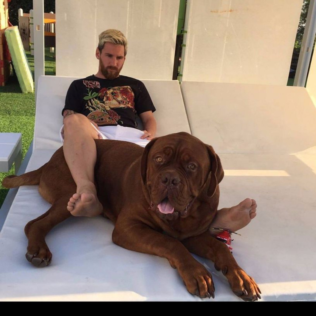 leo3