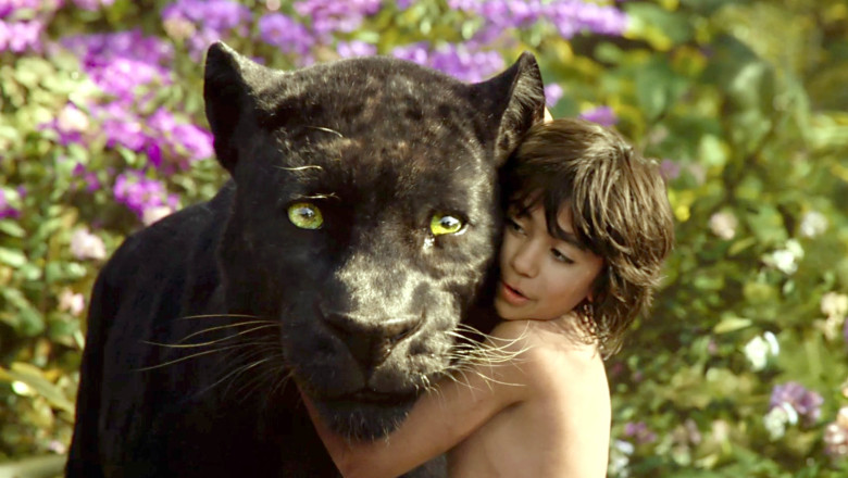 Neel Sethi