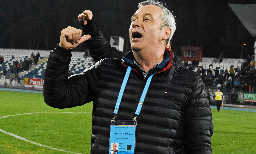 mircea rednic