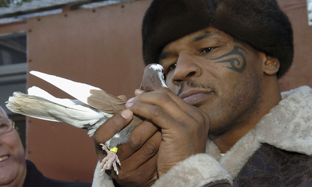 Iron Mike Tyson Visits Pigeon Fancier