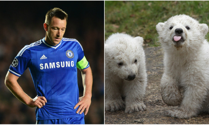 John Terry