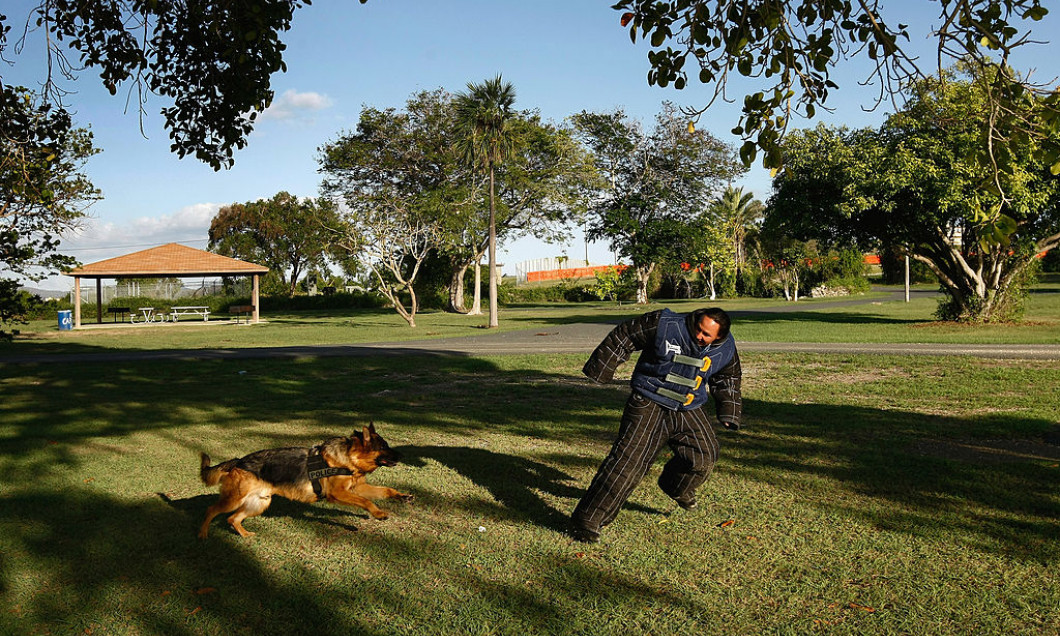 Guantanamo Naval Base Endures As U.S. Military Bastion On Communist Cuba