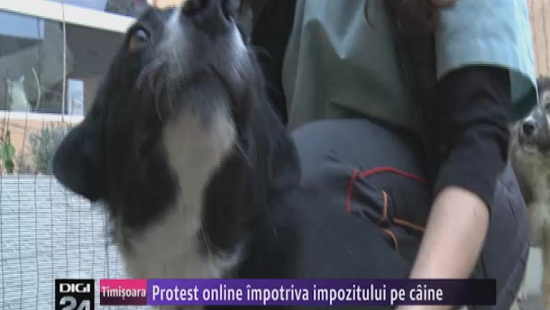 n1630 20protest 20online 20impotriva 20impozitului 20pe 20caine 20010213-47185