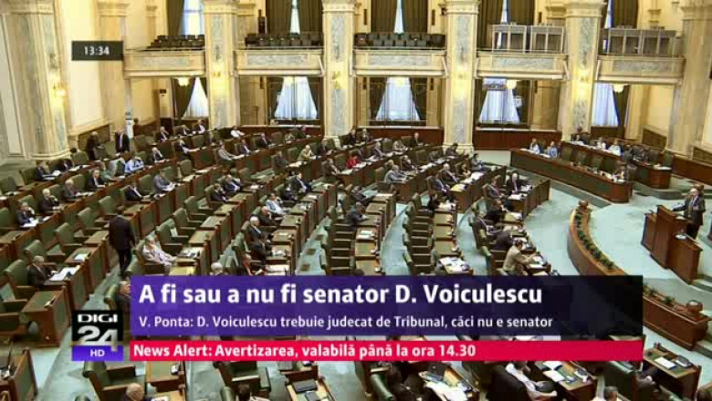 8 2001voiculescu-42575