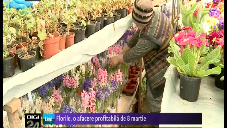 florile 20o 20afacere 20profitabila 20de 208 20martie-53617