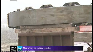 mastodont 20pe 20strazile 20iasiului 20digi24 20iasi-50766