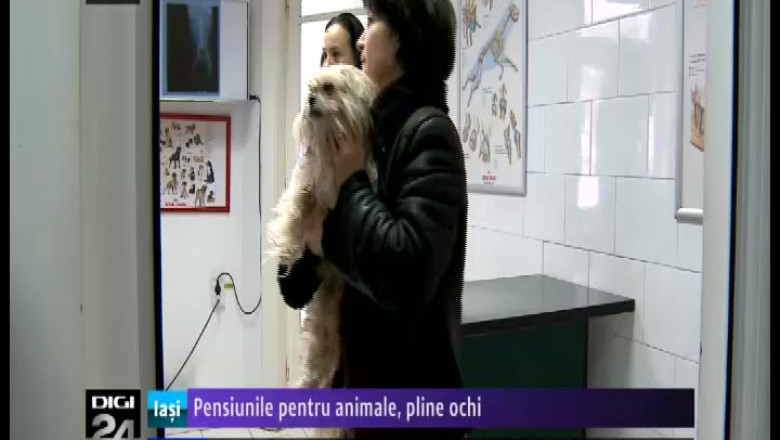 pensiunile 20pentru 20animale 20pline 20ochi-40273