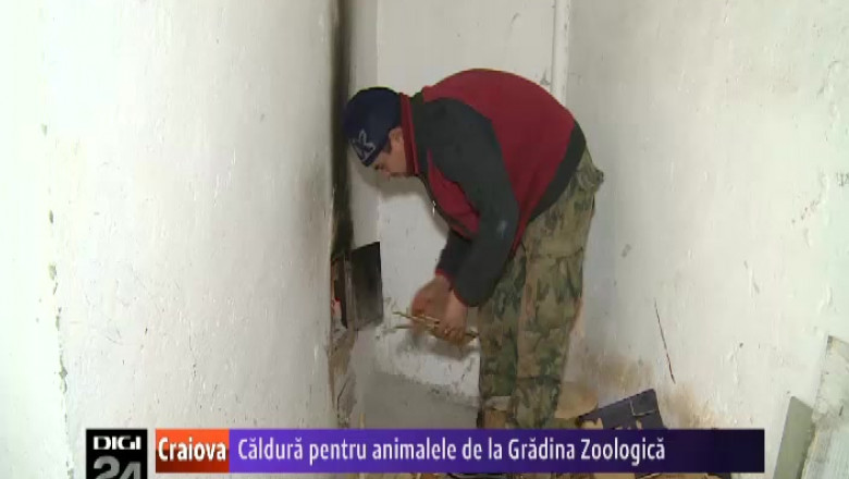 caldura 20pentru 20animale 20171212-39051