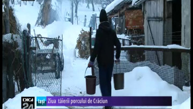 ziua 20taierii 20porcului 20de 20craciun-39840