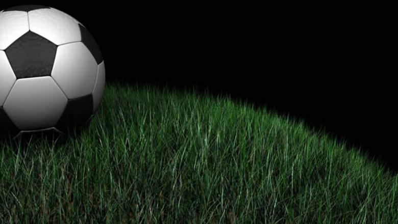 soccer 20ball 20in 20grass-38555