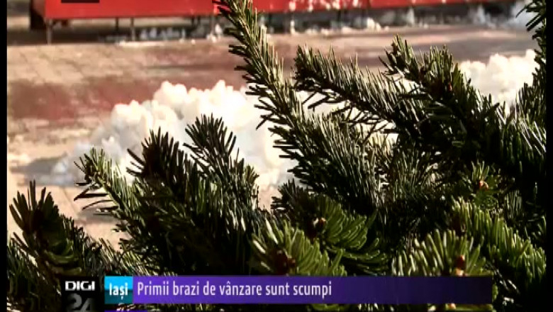 primii 20brazi 20de 20vanzare 20sunt 20scumpi-38170