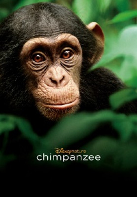 CHIMP 1sheet 47972c001fTxt L lowRes