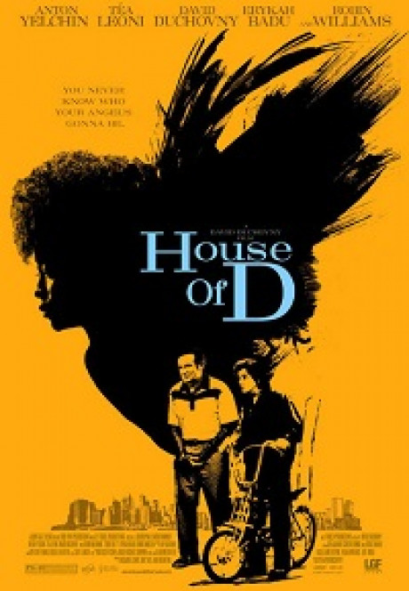 House of D cover