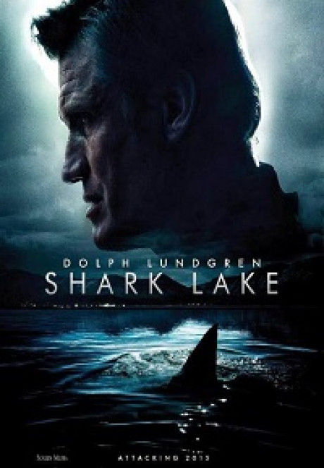 shark lake