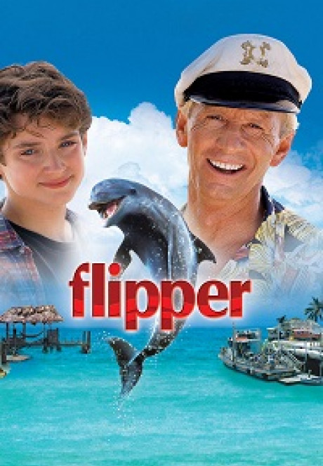 FLIPPER 800X1200