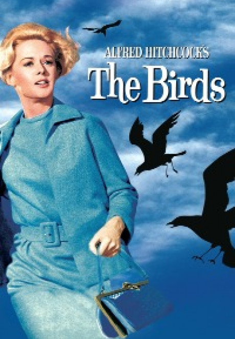 the-birds