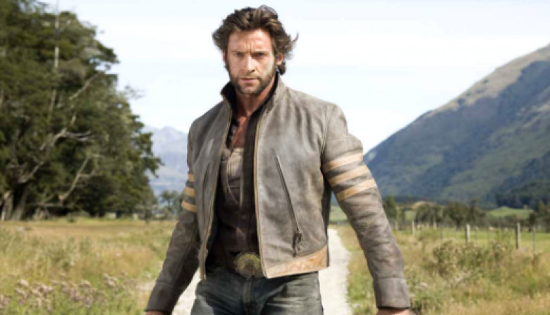 wolverine