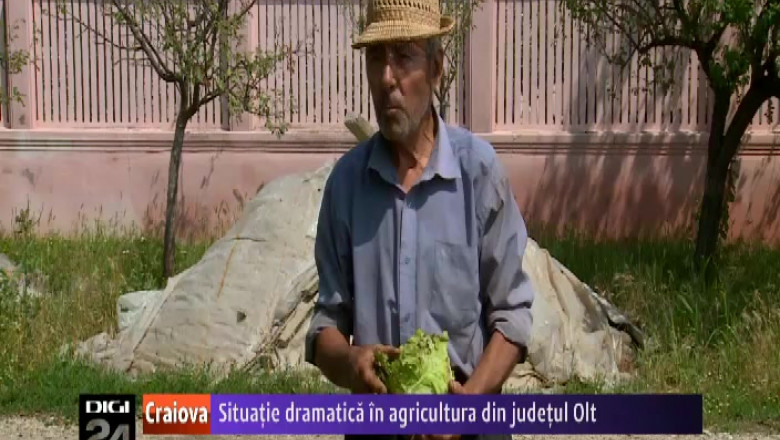 situatia dramatica in agricultura din judetul olt