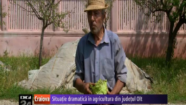 situatia dramatica in agricultura din judetul olt