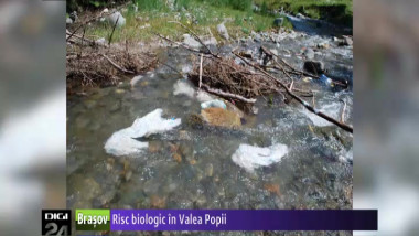 RISC BIOLOGIC IN VALEA POPII