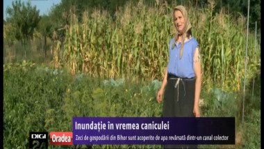 InundaÅ£ie In Vremea Caniculei Zeci De GospodÄƒrii Din Bihor Sunt Acoperite De Apa RevÄƒrsatÄƒ Dintr Un Canal Colector