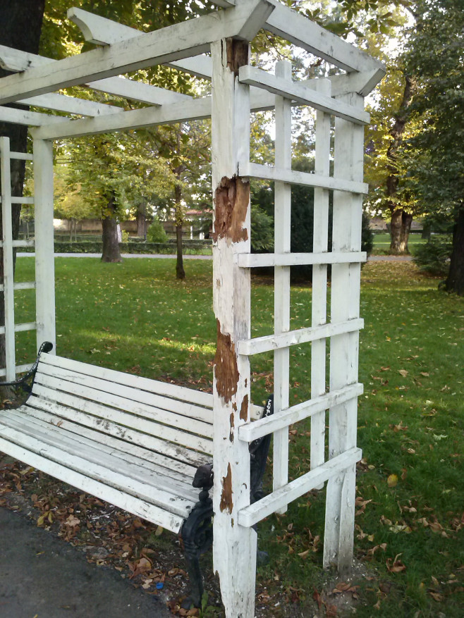 distrugeri in parc Timisoara 3