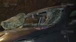 accident soseaua Timisoara Lugoj 08