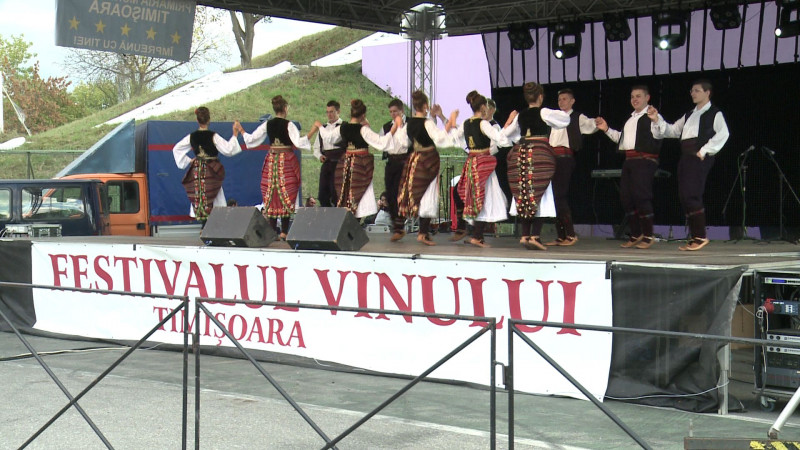 Festivalul Vinului la Timisoara 17