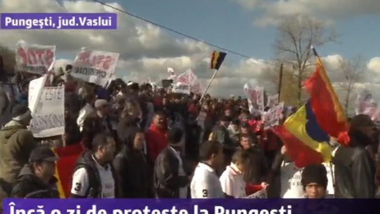 protest pungesti steaguri2