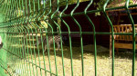 Zoo - evadarea zebrei 05