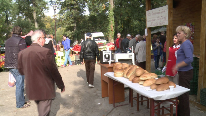 Roadele Toamnei Timisoara 14