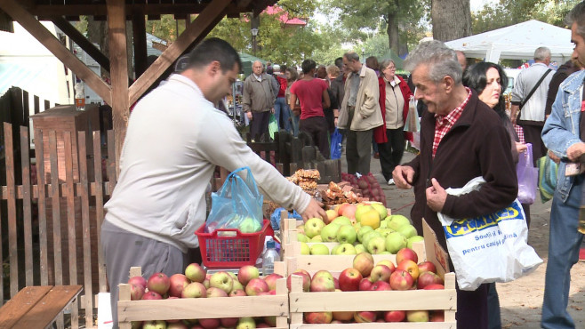 Roadele Toamnei Timisoara 07