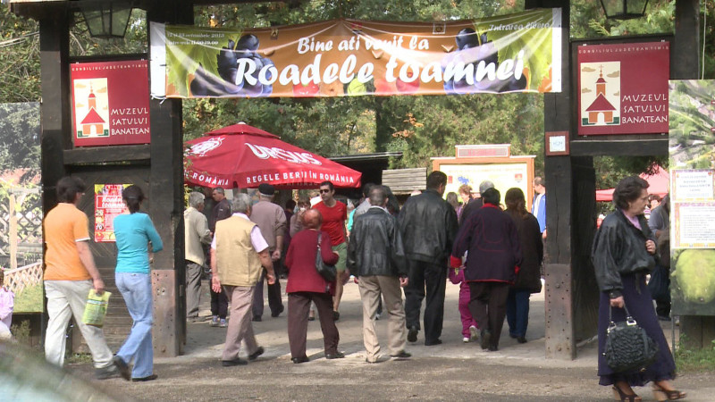 Roadele Toamnei Timisoara 01