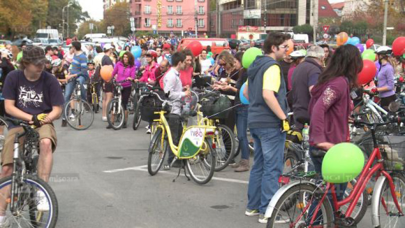 Verde pentru Biciclete 17