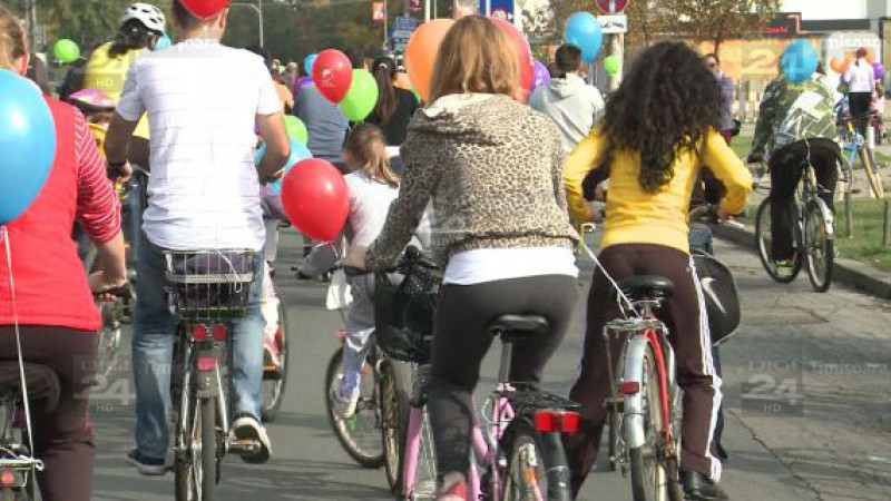 Verde pentru Biciclete 14