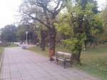 Parcul Central 1