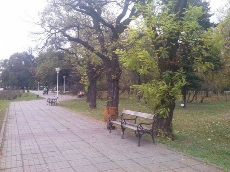 Parcul Central 1