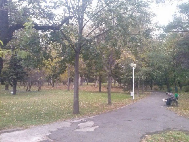 Parcul Central 4