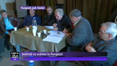 pungesti vaslui