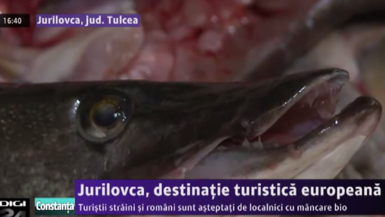 peste jurilovca