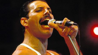 freddie 1530365c