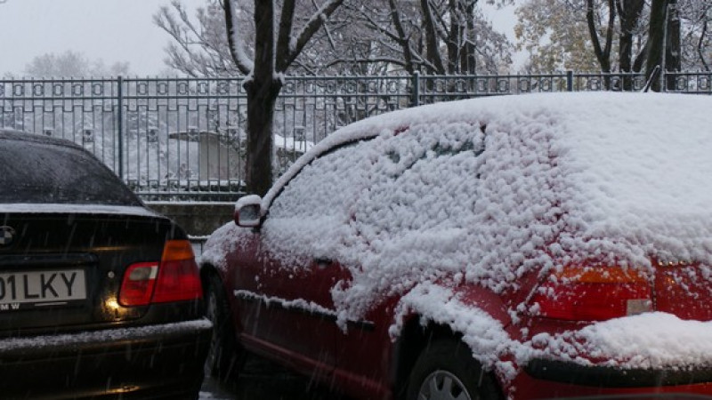 Ninsoare la Timisoara 22