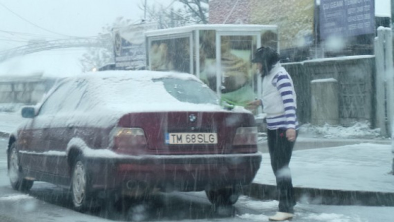 Ninsoare la Timisoara 14