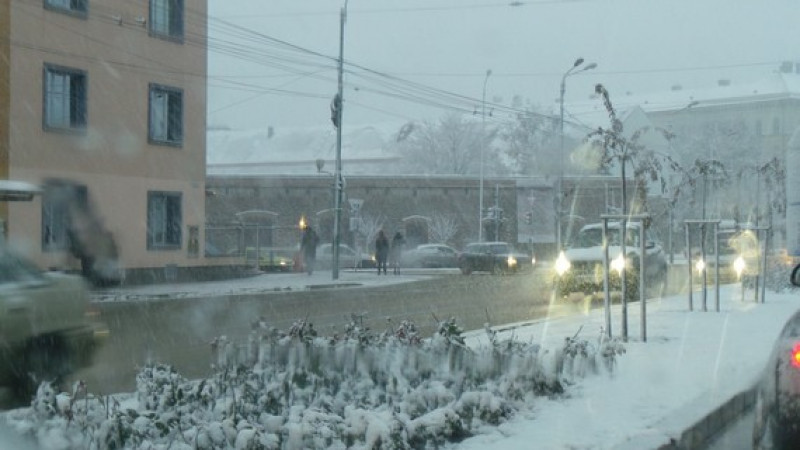 Ninsoare la Timisoara 21